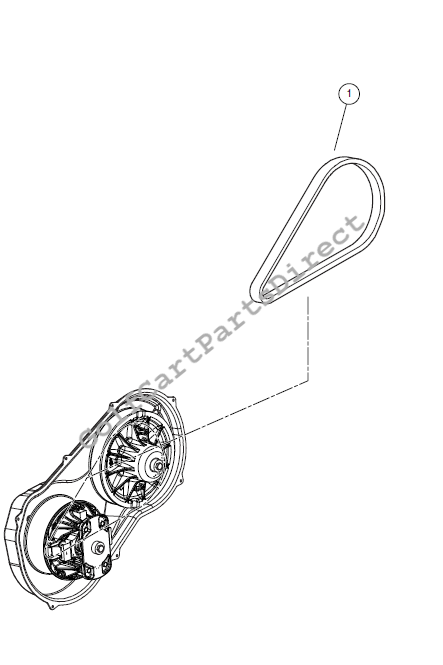 Drive Belt
