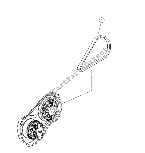 Drive Belt