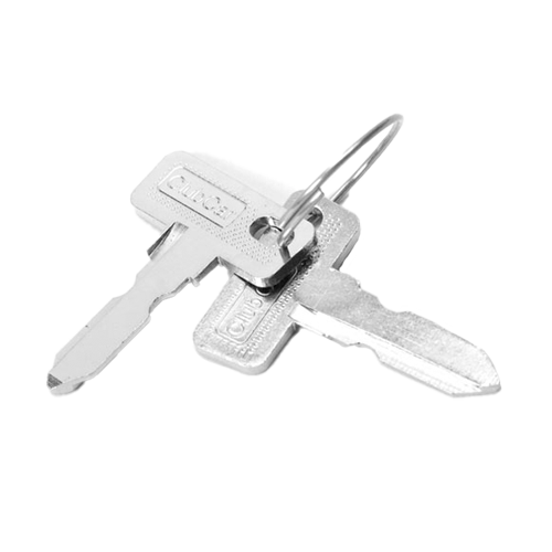Keys (set of 2)