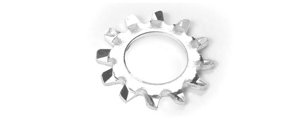 .250 EXT. TOOTH LOCK WASHER   