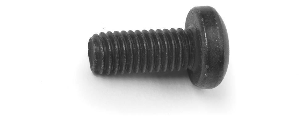 SCREW M5-08X12 TORX PN TRS    