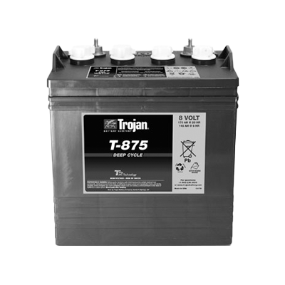 Battery, 8v Trojan T875, Wet,sp